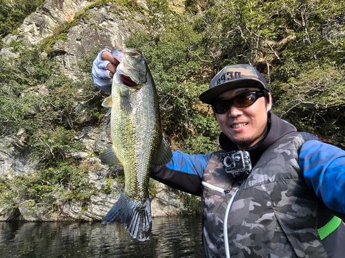 ブラックバスの釣果