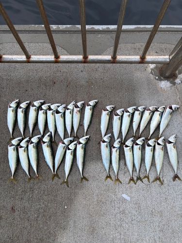 南芦屋浜ベランダ