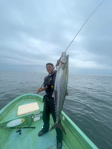 伊勢湾湾奥