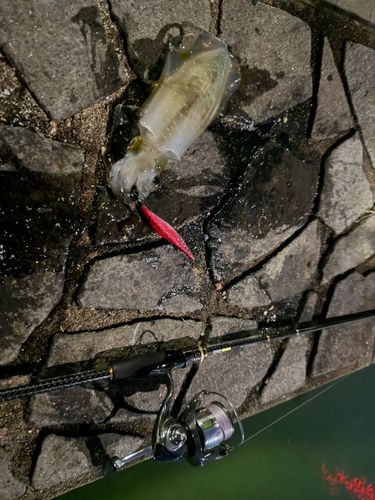狩留家海浜公園