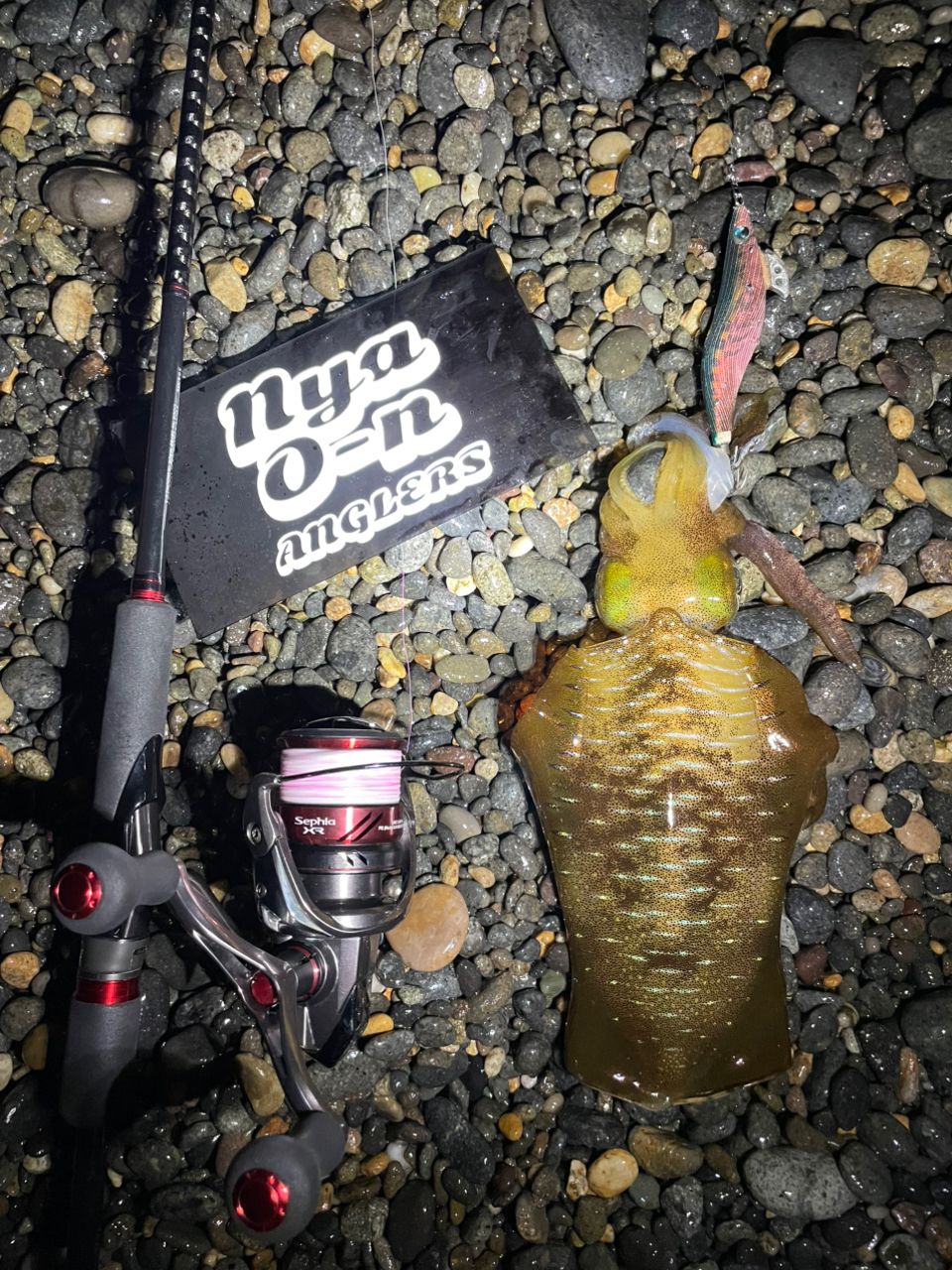 SHIMANO 18セフィア BB S86MLの最安値・インプレ・釣果 | 本音の口コミ