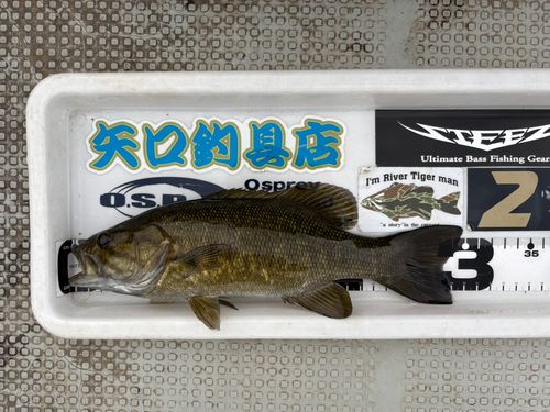 鬼怒川