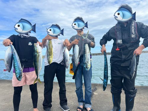 カツオの釣果