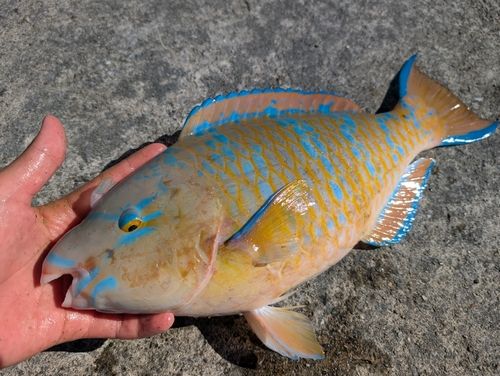沖縄本島北部