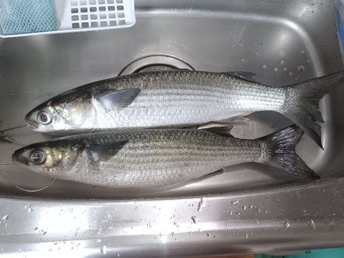 錦湾