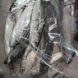 サバ