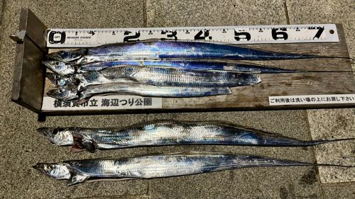 海辺つり公園