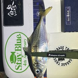アジ