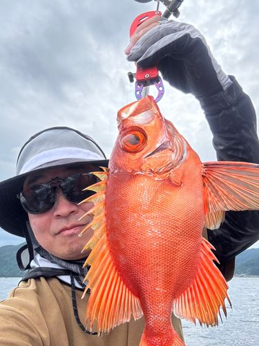 チカメキントキの釣果