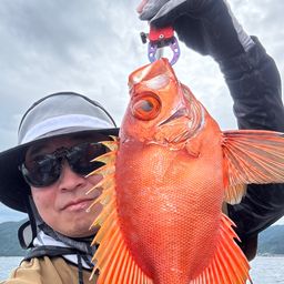 チカメキントキ
