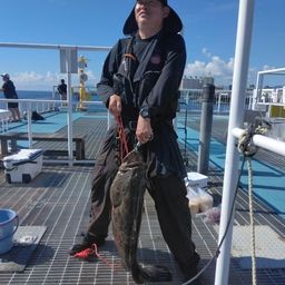 チャイロマルハタ