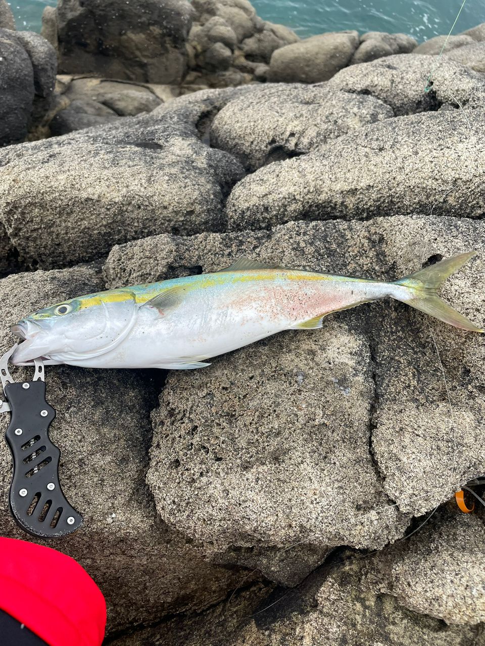 イナダ