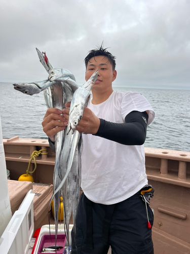 タチウオの釣果