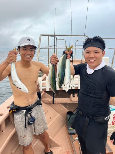 ハマチの釣果