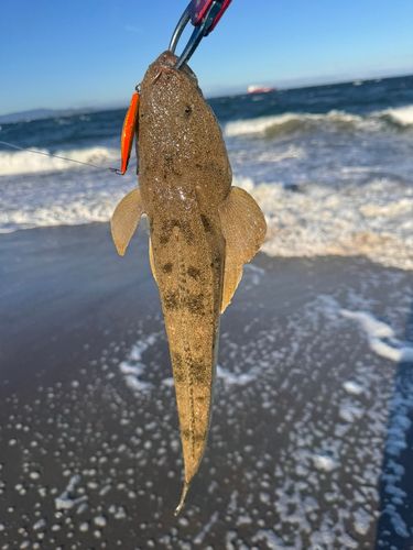 伊良湖サーフ