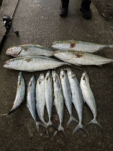大阪湾