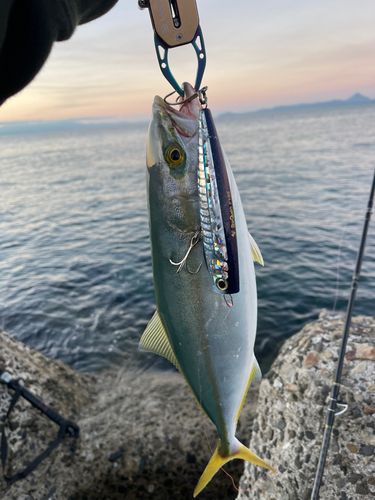 鹿児島湾南部