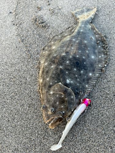 大倉戸海岸