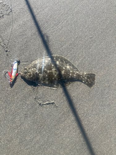 大倉戸海岸