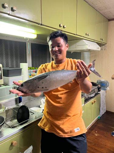 釣果