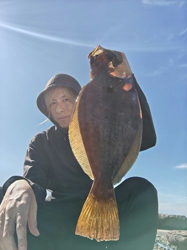 南伊豆