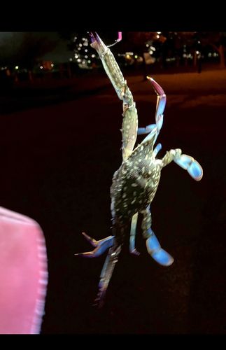 養老川臨海公園