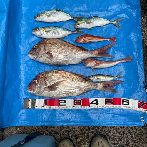 釣果