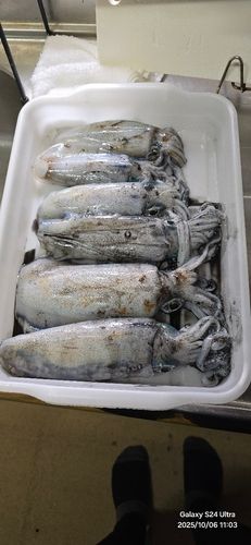 津軽半島