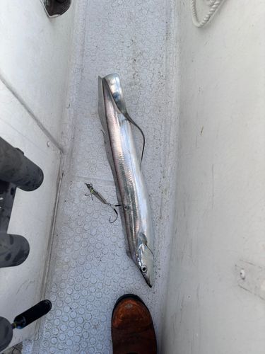 釣果