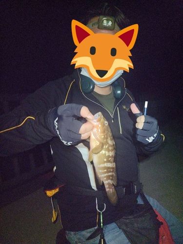 笠戸湾