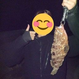 アコウ