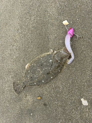 鹿島灘