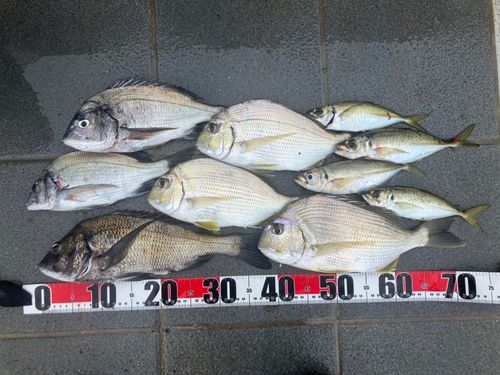 和歌浦湾