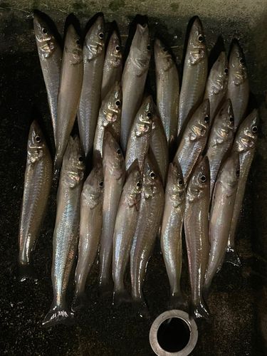 名護屋湾