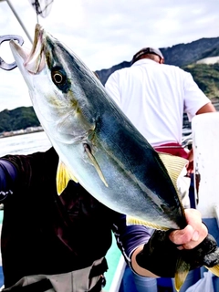 イナダの釣果