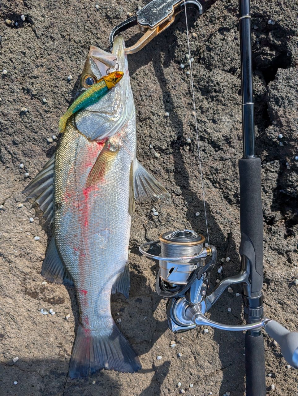 【佐久間】アーリープラス92XML/ヤマガブランクス YAMAGA Blanks(ヤマガブランクス) EARLY(アーリー)プラス 92XML