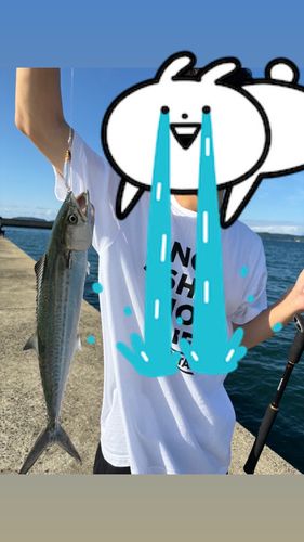 調川港