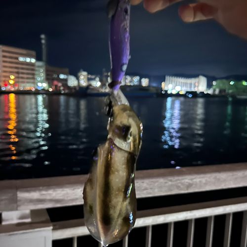 鹿児島港