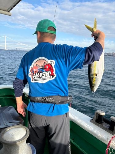 メジロの釣果