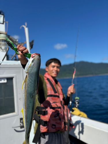 ヒラマサの釣果