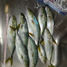 コゾクラ
