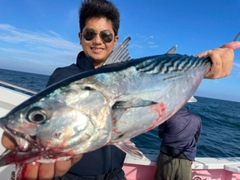 スマガツオの釣果