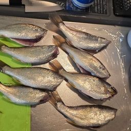 イシモチ