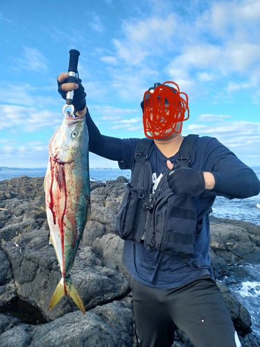 博多湾