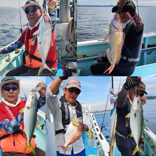 ショゴの釣果