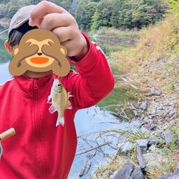 ブルーギル
