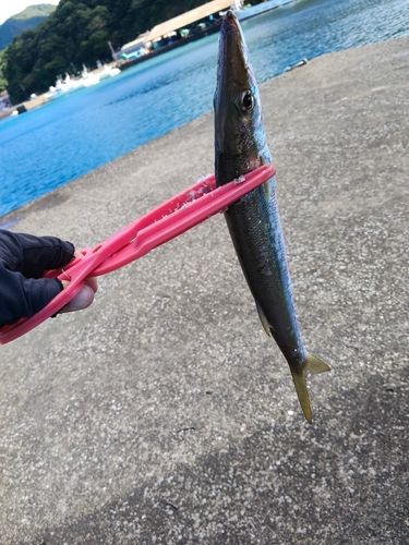 奈屋浦