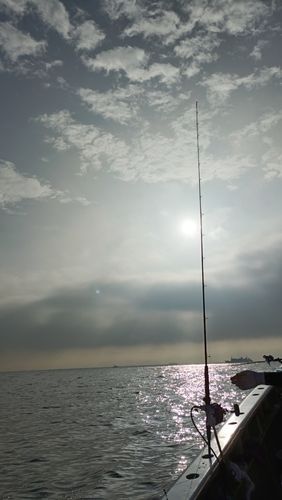 追浜