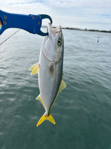 表浜名湖
