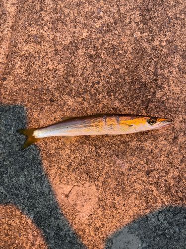 上磯漁港